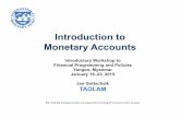 Introduction to Monetary AccountsIntroduction toIntroduction to Monetary Accounts Introductory Workshop to Financial Programming and PoliciesFinancial Programming and Policies Yangon,