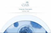 Corporate Presentation - Curis, Inc · Strong Synergy −Inhibition highly synergistic with BTK inhibition Inhibiting either of these two pathways should provide benefit to patients