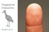 Fingerprint Characters - Studyladder · Characters. You are Unique No two people are exactly alike. We are all di˜erent. We are all unique. Have a look at your ˚ngertips. If you