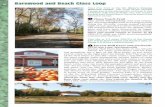 42 Barnwood and Beach Glass Loop · 2016-06-27 · 42 Barnwood and Beach Glass Loop Start this Trail at the St. Mary’s County Welcome Center, just south of the Charles County line