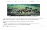 MAFWA Ad-hoc Feral Swine Committee – 2019 Annual Report · 2019-05-13 · MAFWA Ad-hoc Feral Swine Committee – 2019 Annual Report . Complied and Submitted by Steven E. Backs,