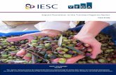 Export Promotion in the Tunisian Organics Sector · 2018-03-23 · Export Promotion in the Tunisian Organics Sector 3 sector must tackle some large issues: product diversification,