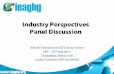 Industry Perspectives Panel Discussion€¦ · Industry Perspectives Panel Discussion IEAGHG International CCS Summer School 18 th rd– 23 July 2011 . Champaign, Illinois, USA .