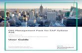 OMi Management Pack for SAP Sybase ASE- 1.0 - User Guide · 4. IntheConfigurationItemtab,selecttherequiredmanagednodeCIandthenclickNext. 5. (Optional).IntheRequiredParameterstab,clickNext.