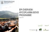 EPI OVERVIEW: MYCOPLASMA BOVIS PROGRAMME€¦ · EPI OVERVIEW: MYCOPLASMA BOVIS PROGRAMME August 2019. ACKNOWLEDGEMENTS Present and past disease control and intel team members and