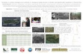 Variation in carbon storage and nutrients in mangrove ... · Variation in carbon storage and nutrients in mangrove peats across a climatic and geomorphic gradient in Puerto Rico Objective: