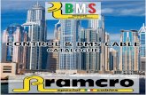 4 10 - Ramcro · Systems (BMS), Sound, Audio, Security, Safety, Control and Instrumentation. Where is needed to provide the solutions for the exchange and storage of information to
