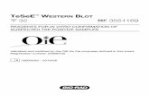 TeSeE Western Blot 32 3551169 - Home: OIE · The gel must be 1.5 mm thickness. Using the Mini Blot™ casting module, the resolving gel (13.5% acrylamide, pH 8.8) is cast first, once