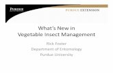 What’s New in Vegetable Insect Management · 2012-08-01 · – Stop use for peppers, potato, pumpkins, sweet corn tomato and winter squash on July 31, 2015 • Hero (mixture of