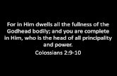 For in Him dwells all the fullness of the Godhead …mislead, beguile, the lead astray by false reasoning) you (how) with persuasive (or, enticing, alluring) words. Colossians 2:5