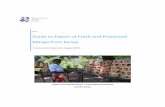 Guide to Export of Fresh and Processed Mango in … EXPORT GUIDE...iv EXECUTIVE SUMMARY The export of fresh and processed mangoes, to which this document is dedicated, is a handbook