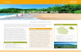 The Thorsborne Trail · Trek the 32km (19.8 mile) Thorsborne Trail along the eastern coast of Hinchinbrook Island – an untouched tropical paradise on the coast between Townsville