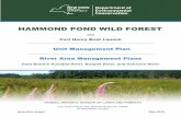 HAMMOND POND WILD FOREST · create the communities of Hammondville, Ironville, Mineville, Moriah, Port Henry and Witherbee. With the exception of Hammondville, all of these villages
