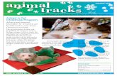 Adopt a Pet Christmas Program - Humane Animal Rescue€¦ · Adopt a Pet Christmas Program Adopt a pet between December 16 -23 and it can be delivered to your home Christmas morning.