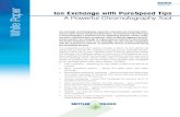White Paper Ion Exchange with PureSpeed PureSpeed for Ion Exchange Ion Exchange Chromatography Principles