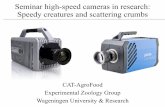 Seminar high-speed cameras in research: Speedy creatures ... · High-speed imaging of a single photon Camera: pco dimax HS4 Resolution: 4 million pixels Frame rate: 2,277 fps Dynamic