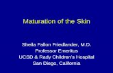Dermal absorption Maturation of the Skin · Overview •Function of the skin •Maturation of the skin –Embryology –Aging •Skin dysfunction –at-risk populations –Preemies,