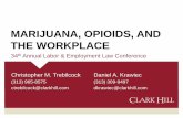 MARIJUANA, OPIOIDS, AND THE WORKPLACE · opioids are having on the workplace. Work with health plan provider to evaluate the use of prescription opioids in workers comp claims Update