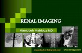 RENAL IMAGING - SSR Egypt · 2014-05-05 · Indications for imaging of suspected RCC include: Incidental detection of renal mass, presumed to be solid. Suspicious or positive excretory