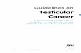 Guidelines on Testicular Cancer - parcdesalutmar.cat · 7.3 NSGCT clinical stage I 16 7.3.1 Surveillance 17 7.3.2 Adjuvant chemotherapy 17 7.3.3 Risk-adapted treatment 17 7.3.4 Retroperitoneal