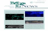 New members at MPL · 2020-04-21 · New members at MPL #15 . 02020 1 MAX PLANCK INSTITUTE FOR THE SCIENCE OF LIGHT NEWSLETTER ISSUE #15 APRIL 2020 In September 2019, MPL’s scientific