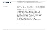 June 2015 SMALL BUSINESSES · Most Small Businesses are Individuals, but Most Small Business Income is Earned by Partnerships and Corporations 6 Tax Compliance Burdens Vary Depending