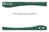 The Respiratory System - Valhalla High School...2015/02/03  · circulatory systems to deal with transport of materials around larger areas. – Our circulatory system is a closed