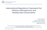 International Regulatory Framework for Fisheries ......International Regulatory Framework for Fisheries Management and Biodiversity Conservation Malmö , Sweden, 14-16 May 2019 Piero