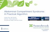 Abdominal Compartment Syndrome: A Practical Algorithmcdn.cepdtoronto.ca.s3.amazonaws.com/generalsurgery/18/1545-Tien.pdf3. Intra-abdominal hypertension (IAH) is defined as sustained