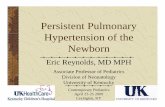 Persistent Pulmonary Hypertension of the NbNewbornukyce.cecentral.com/assets/1850/Presentation_SA... · Persistent Pulmonary Hypertension Mainly a disease of term and lateMainly a