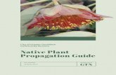 Native Plant Propagation Guide - City of Greater …...11 / 59 Native Plant Propagation Guide Using this guide Common name Please note that not all native plants have a common name.