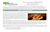 Growing Hybrid Hazelnuts - Sustainable Agriculture · 2017-12-04 · Growing Hybrid Hazelnuts. Lois Braun. 1 & Jeff Jensen. 2. Version 3, Jan. 2015. This publication is intended to