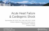 Acute HeartFailure & Cardiogenic Shock · prognosis as cardiogenic shock. •HTN if present is obviously useful as it is intervenable easily (NTG). BP >180mmHg in acute pulmonary