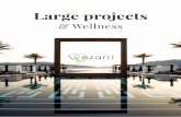 & Wellness - EZARRI UAE · Yes, experience is a degree. Especially in large projects in which excellence must be maximized and contingencies minimized. Well, here at ezarri we have