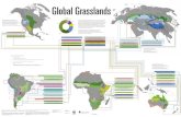 Global Grasslands revised August 2014 low res Indomalayan Mesic Savanna and Grasslands Polynesian Lowland