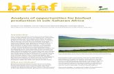 Analysis of opportunities for biofuel production in sub ... · New technologies in advanced stages of development will allow alternative feedstocks to be used for CIFOR environment