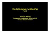 Comparative Modeling.ppt [Read-Only]cbsu.tc.cornell.edu/Workshop/2002_cd/lectures/Comparative_Modeling.pdfinteractions of a protein with other molecules are ... •Protein-protein