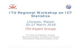 ITU Regional Workshop on ICT Statistics€¦ · how to collect data relating to Internet of Things(IoT); and additional indicators on e-commerce, i.e. frequency of e-commerce; Continue
