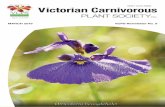 ISSN 1033-6966 Victorian Carnivorous · 2 – VCPS VCPS – 3 This year we have scheduled the following discussion topics, and events: January (19th) New Year BBQ at Steve Fretwell’s