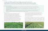 Yield of different herbicide-tolerant canola varieties: are there any … of... · 2019-01-18 · similar yield to RR canola when yield was above 2.5t/ha. Conclusion In summary, RR