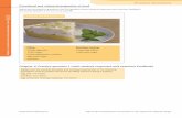 Filling Meringue topping - John Flamsteed …...© Illuminate Publishing Ltd AQA GCSE Food Preparation and Nutrition by Tull, Littlewood, Maitland, Worger Practice Questions Chapter