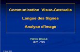 Communication Visuo-Gestuelle Langue des Signes …signes.labri.fr/resources/docs/IRIT_TCI_CVG.pdf13 février 2003 IRIT-TCI-CVG 5 Communication Visuo-Gestuelle Analyse - Attitudes