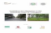 Guidelines for Plantation in the Industrial Parks of Telanganatsiic.telangana.gov.in/wp-content/uploads/2018/02/THH-Guidelines.pdf · 2. Checklist for pre- planting, during planting