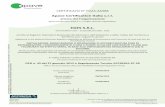 EGES S.R.L. · Apave Certification Italia S.r.l. a socio unico - Viale Battista Bardanzellu, 94 - 00155 Roma - Capitale sociale 50.000 € - P.IVA e C.F. 07497701008 Apave Certification