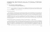EVIDENCIAS DE LA ACTIViDAD lRlA CORUNA) · 2012-06-18 · EVIDENCIAS MATERIALES DE LA ACTIViDAD COMERCIAL ROMANA EN lRlA FLAVlA (PADRÓN, A CORUNA): LAS SIGI- LLATAS Por M\ Catalina
