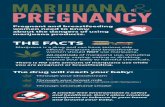 Pregnant and breastfeeding women need to know …jtnn.org/wp-content/uploads/2018/07/JTNN-MJ-and...Pregnant and breastfeeding women should NOT use marijuana. All methods of marijuana