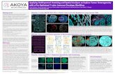 Applying Multispectral Unmixing and Spatial …...The Spatial Biology Company Akoya Biosciences, Inc., 100 Campus Drive, Marlborough, MA USA (855) 896-8401 Applying Multispectral Unmixing