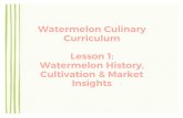 Watermelon Culinary Curriculum Presentation...Watermelon History oOrigin traced back to deserts of southern Africa 5,000 years ago oAncestor of the modern watermelon was used to store
