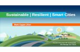Sustainable | Resilient | Smart Citiesggim.un.org/ggim_20171012/docs/meetings/3rd HLF/3 20141023 HL… · Sustainable | Resilient | Smart Cities Mark Cygan | Esri. Monitoring and
