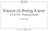 Edexcel (A) Biology A-level · Edexcel (A) Biology A-level 5.5 to 5.9 - Photosynthesis Flashcards . Outline the overall reaction of photosynthesis. . Outline the overall reaction